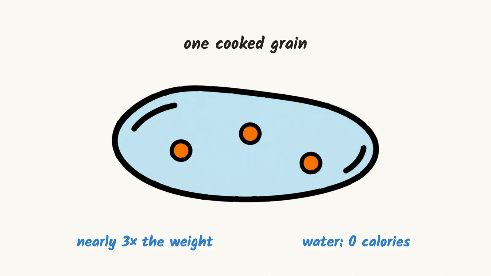 A drawing of one cooked rice grain, swollen with water, with three orange dots standing for its energy: nearly three times the weight, and the water adds 0 calories