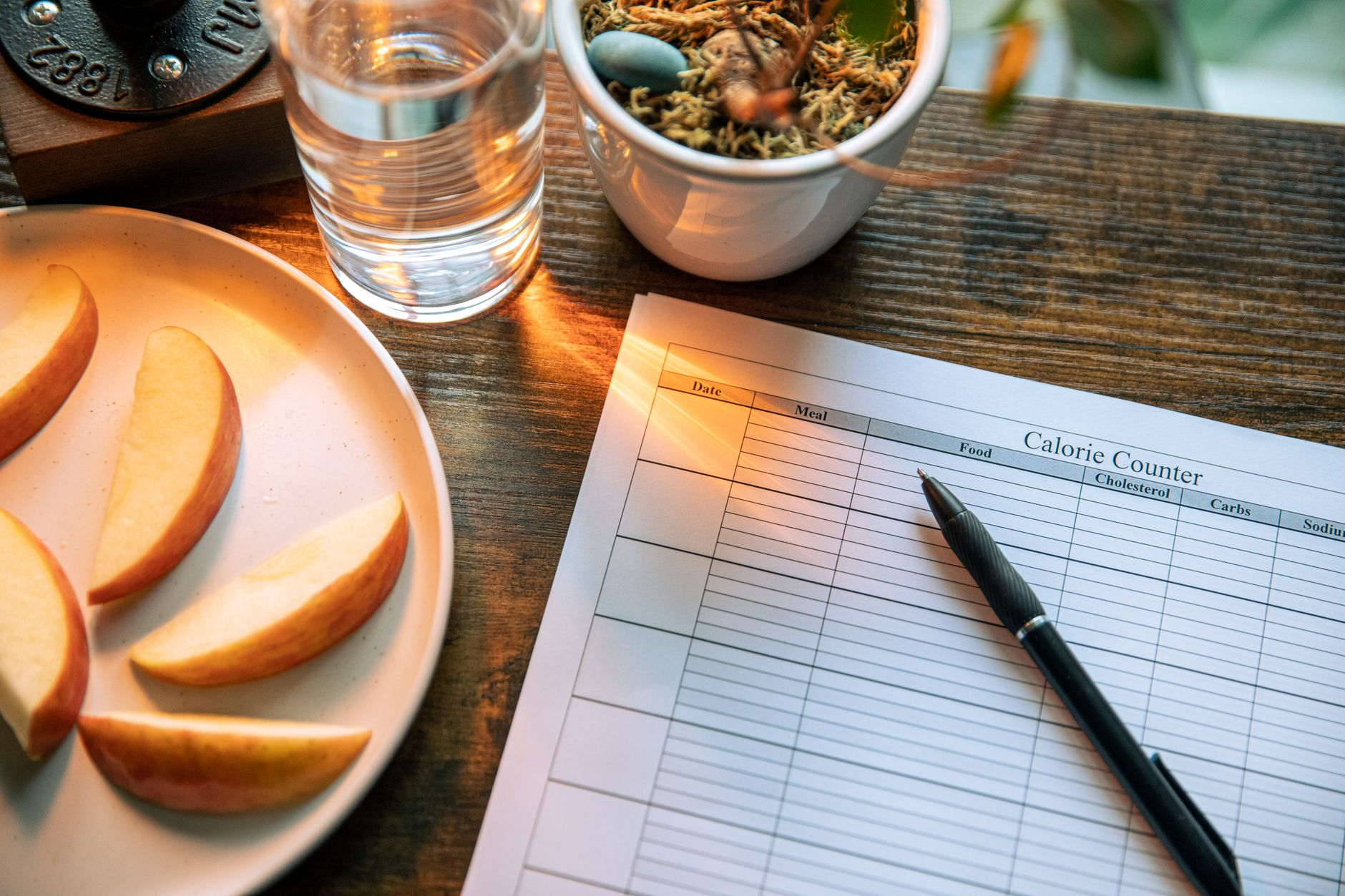 An open food diary with calorie totals beside a bathroom scale and a smartphone showing a downward weight-trend graph on a sunlit kitchen counter