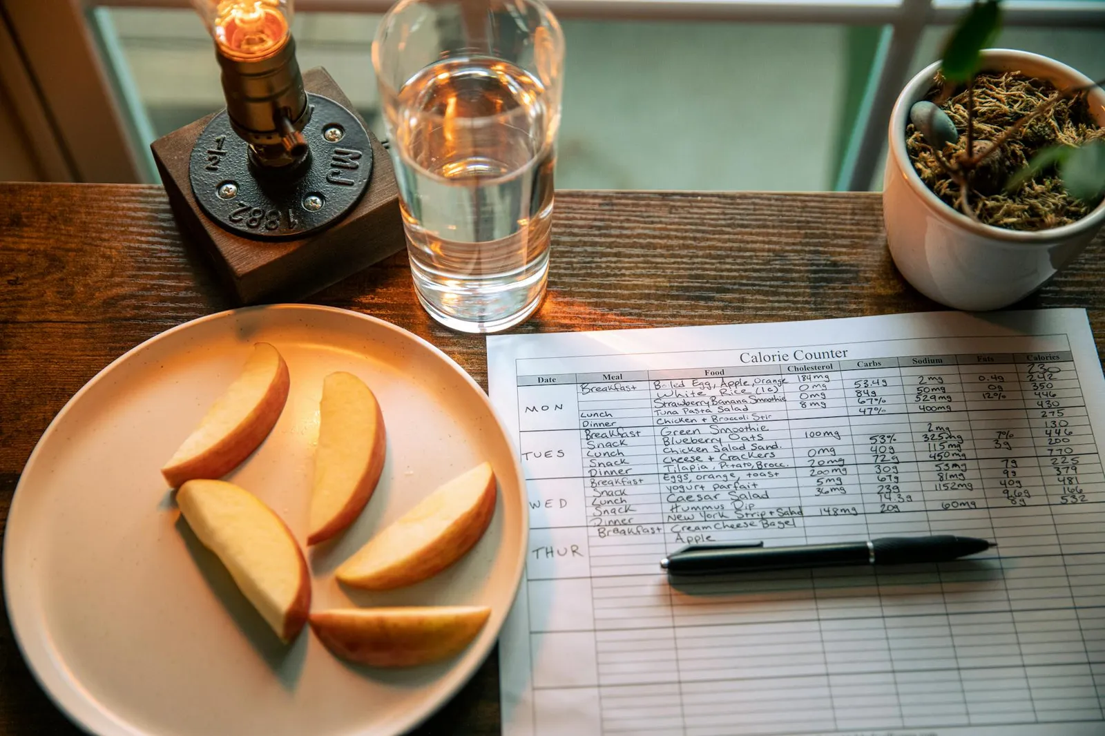 Glass of water beside a balanced healthy meal and a smartphone tracking app on a sunlit kitchen counter
