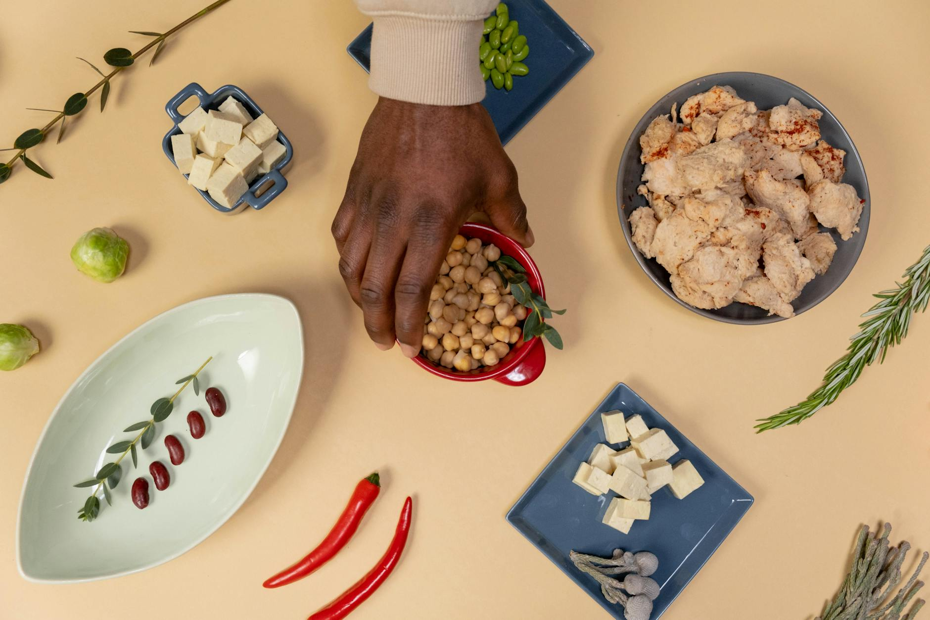 Colorful assortment of plant-based protein sources including lentils, chickpeas, tofu, quinoa, and edamame in bowls