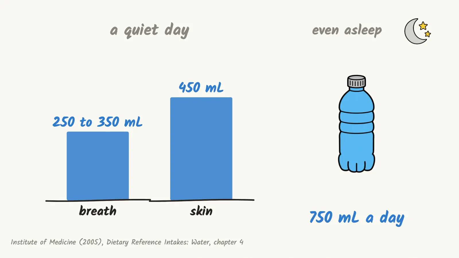 A drawing of daily water loss on a quiet day: 250 to 350 mL through breath and 450 mL through skin, about 750 mL a day, even while asleep (Institute of Medicine, 2005)