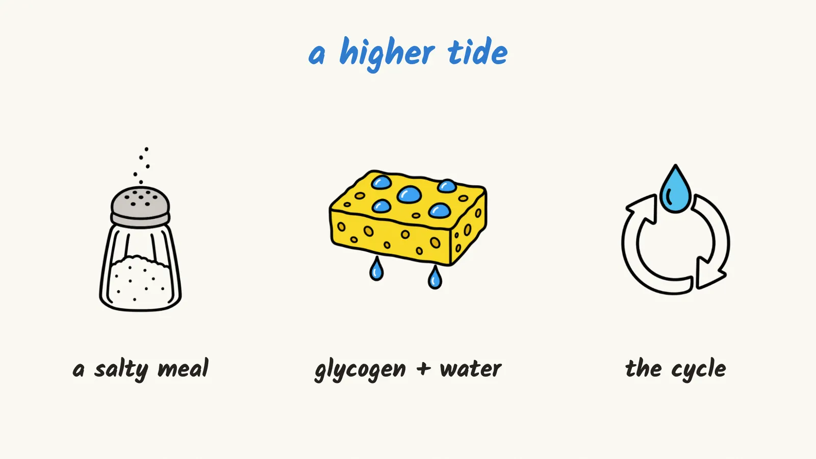 A drawing of three things that can raise the water you hold for a while: a salty meal, glycogen stored with water, drawn as a wet sponge, and the menstrual cycle